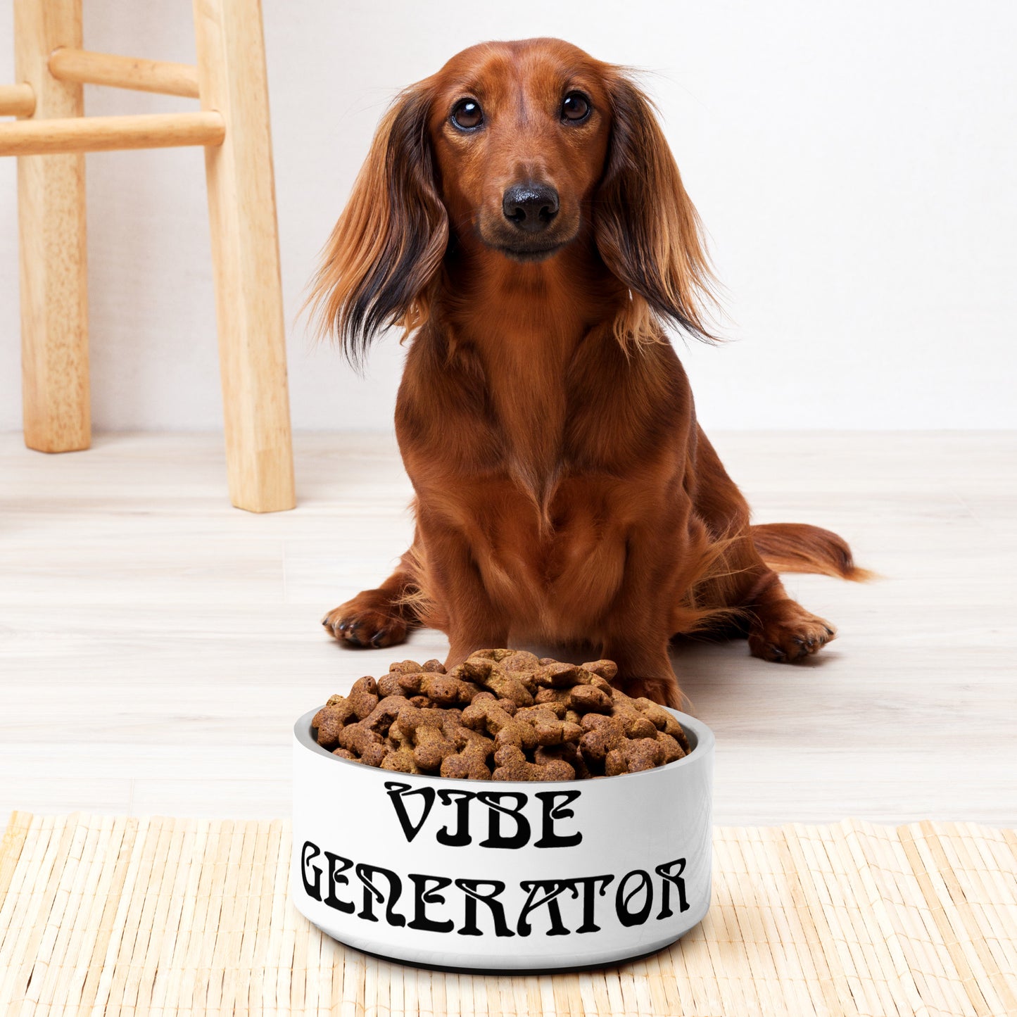 Vibe Generator Energy Healing Pet bowl