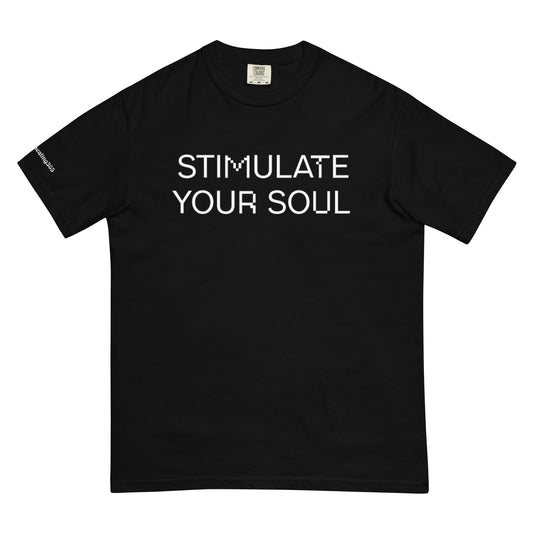 STIMULATE YOUR SOUL Energy Healing Unisex garment-dyed heavyweight t-shirt